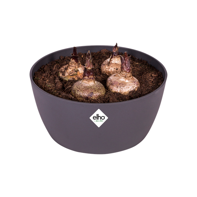 brussels schale 23cm anthrazit